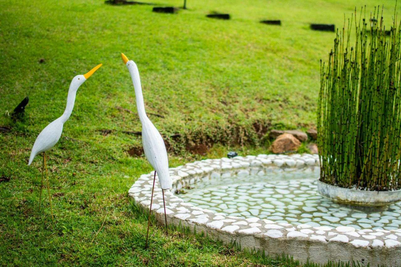 Pousada Toca Dos Tucanos Campos do Jordão Exterior foto